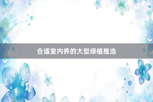 合适室内养的大型绿植推选