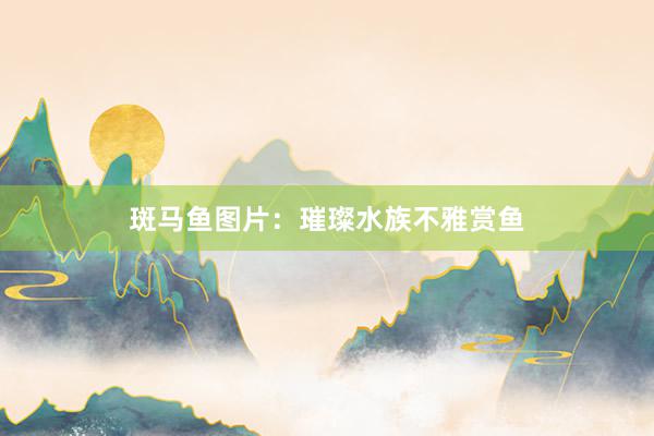 斑马鱼图片：璀璨水族不雅赏鱼