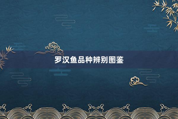 罗汉鱼品种辨别图鉴