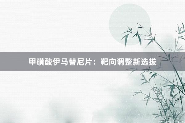 甲磺酸伊马替尼片：靶向调整新选拔