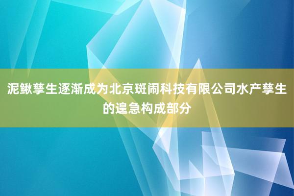 泥鳅孳生逐渐成为北京斑闹科技有限公司水产孳生的遑急构成部分