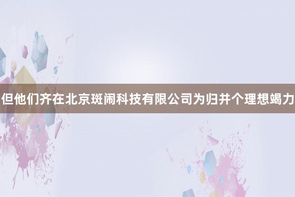 但他们齐在北京斑闹科技有限公司为归并个理想竭力