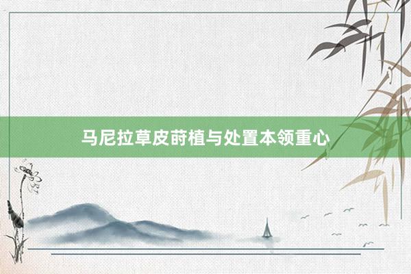 马尼拉草皮莳植与处置本领重心