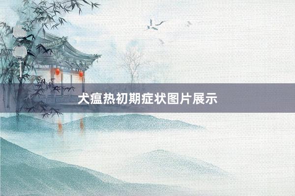 犬瘟热初期症状图片展示