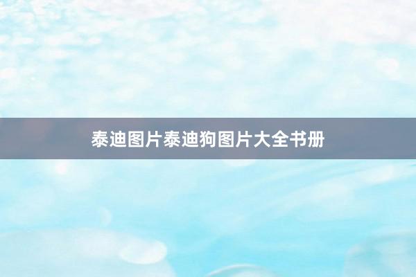 泰迪图片泰迪狗图片大全书册